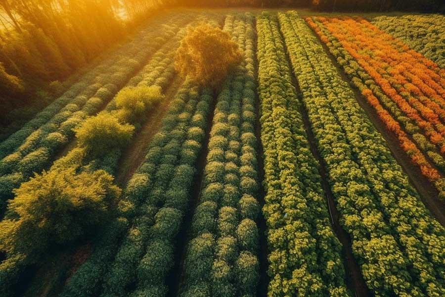 Overcame breeding point concerns has terminate