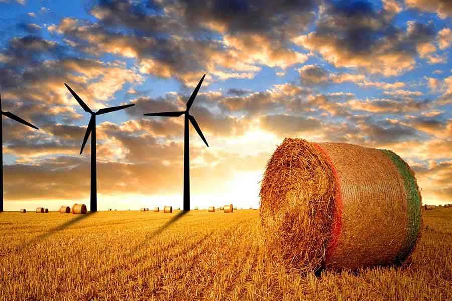 Lorem ipsum dolor, sit amet consectetur adipisicing elit.